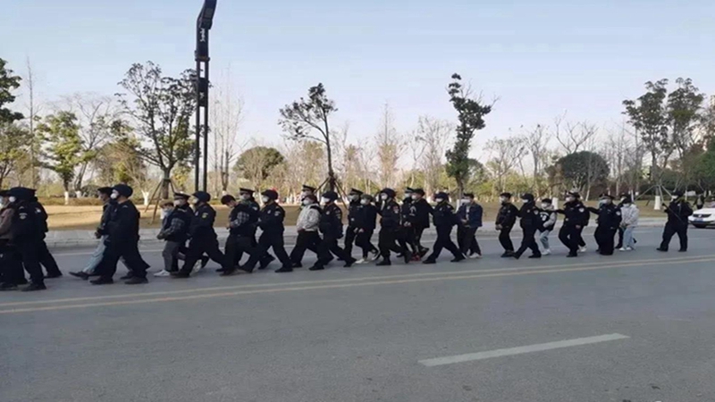 镇雄人口有多少人口_镇雄图片县城(3)